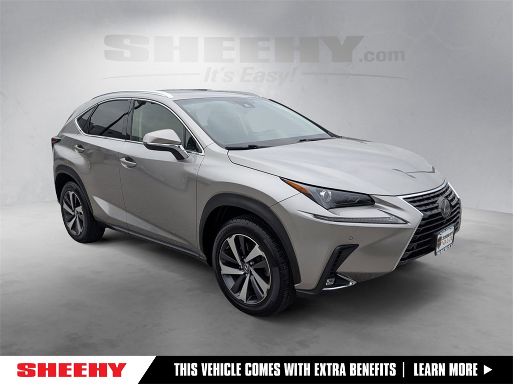 2018 Lexus NX 300's photo