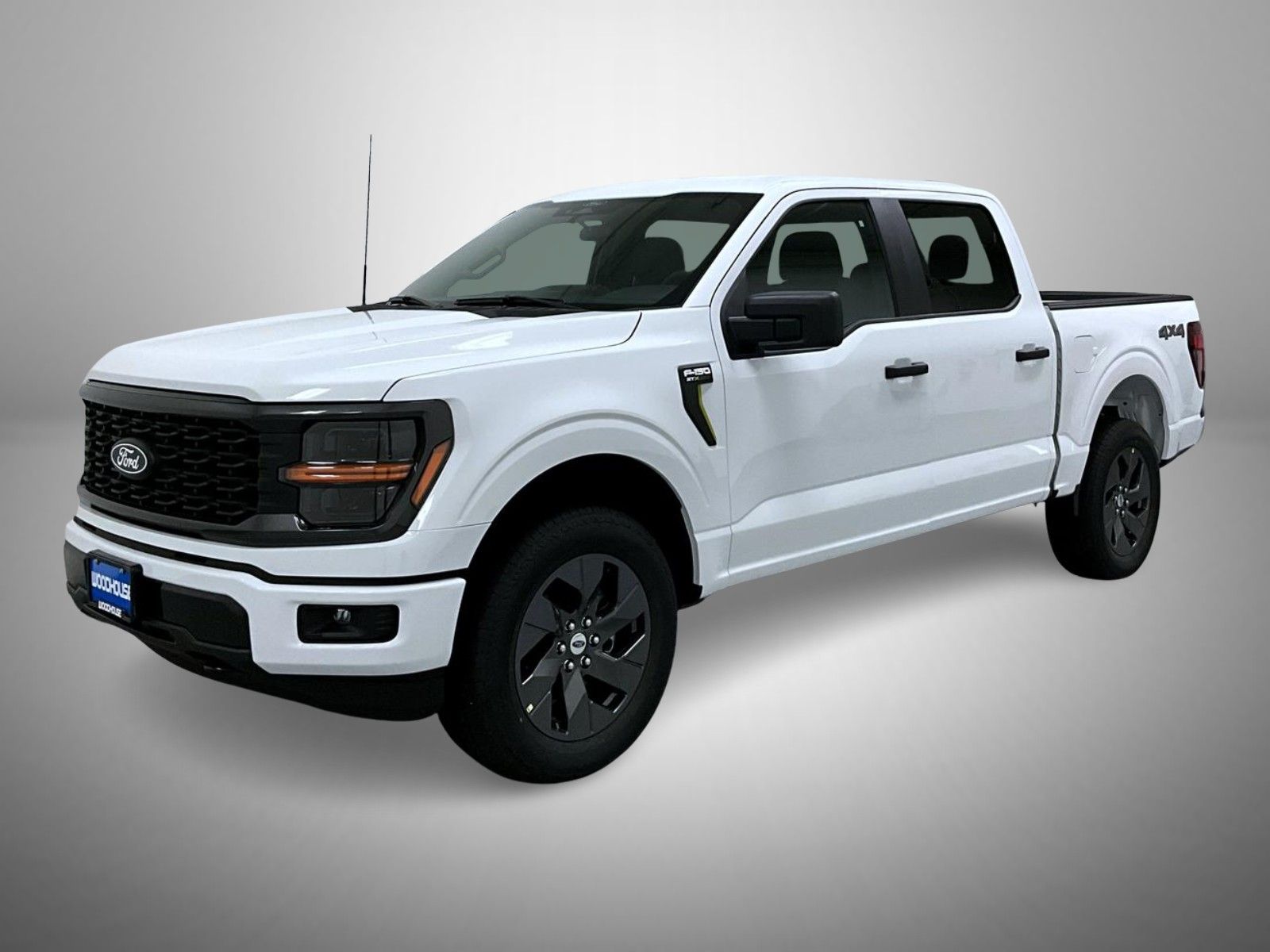 2025 Ford F-150 STX's photo