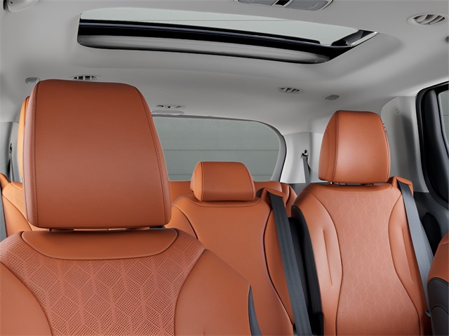 2026 Kia Carnival SX photo 24