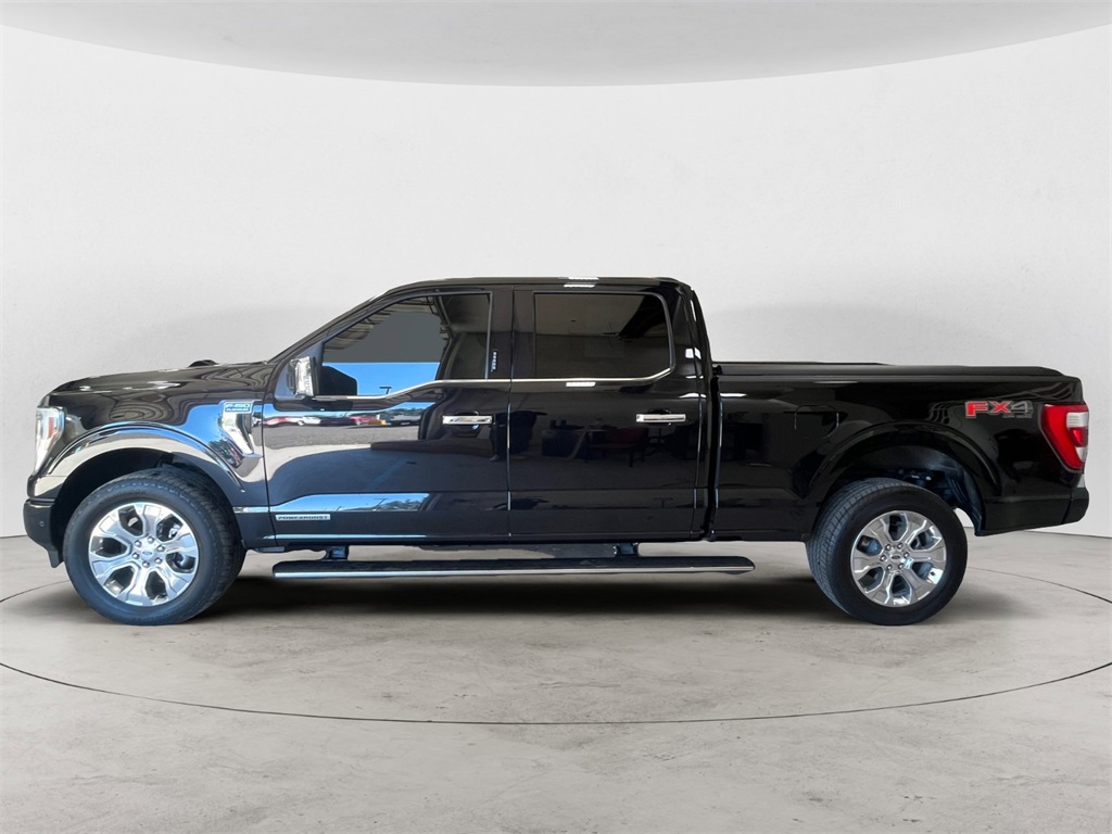2022 Ford F-150 Platinum photo 2