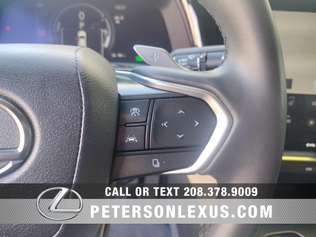 2023 Lexus RZ 450e Premium photo 23
