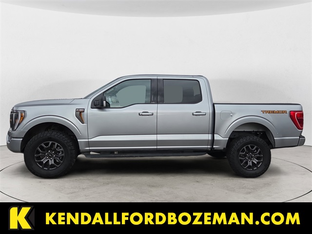 2023 Ford F-150 Tremor's photo