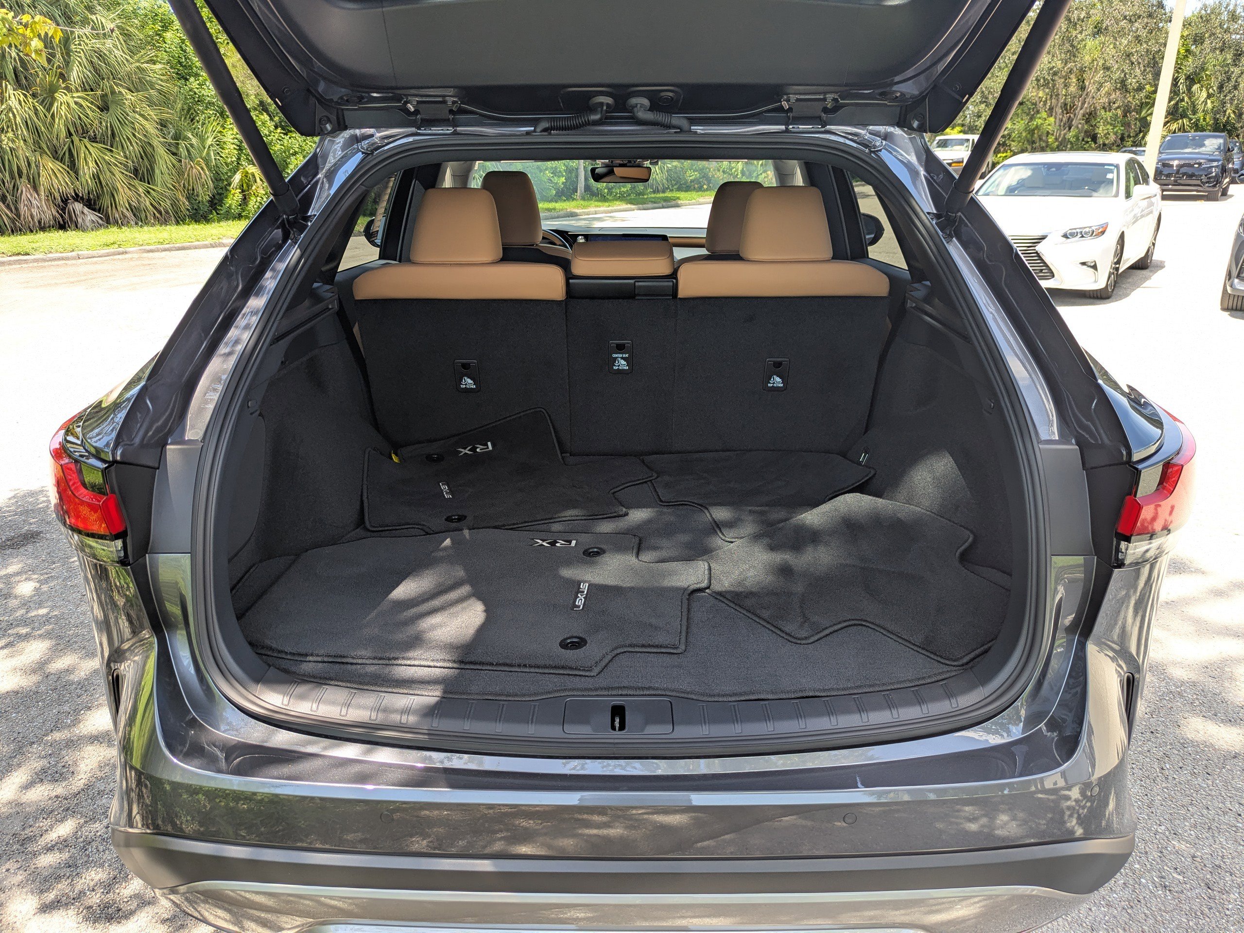 2025 Lexus RX 350 photo 11
