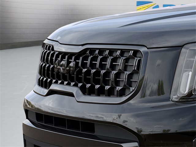 2025 Kia Telluride EX X-Line photo 19