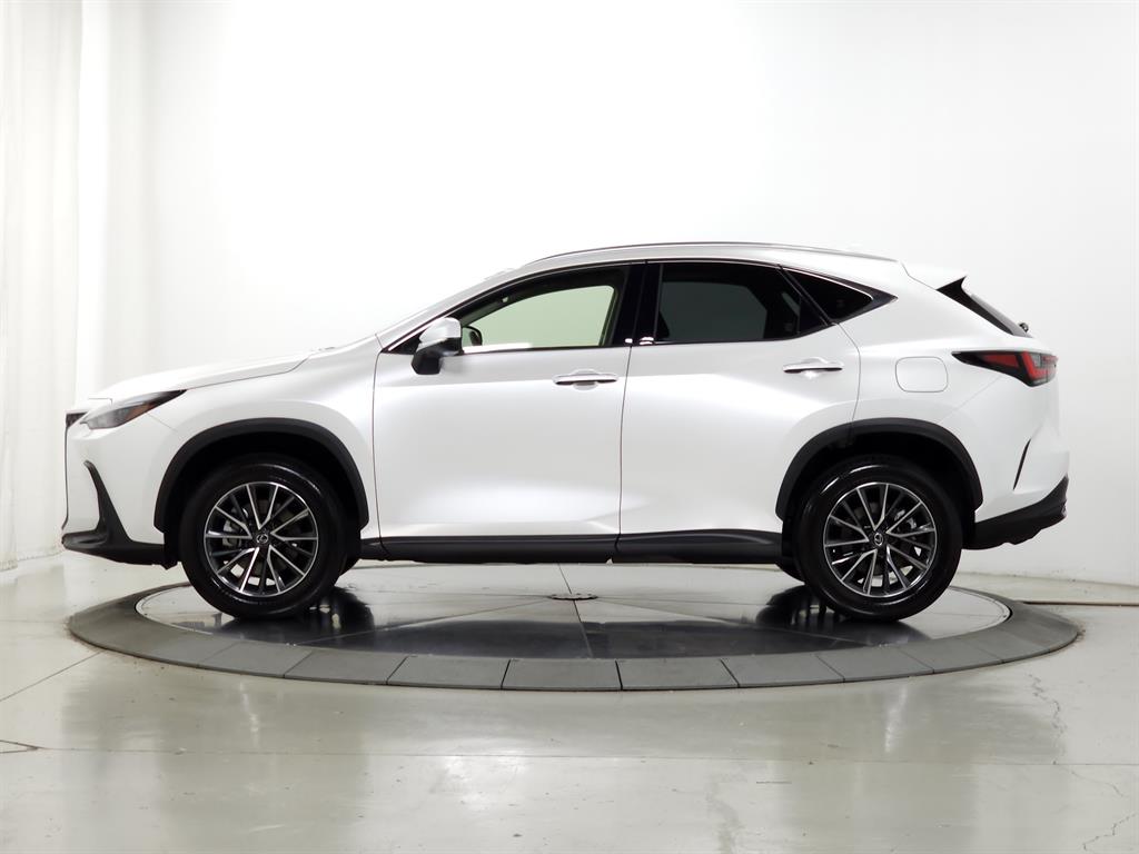 2024 Lexus NX 250 Premium photo 5
