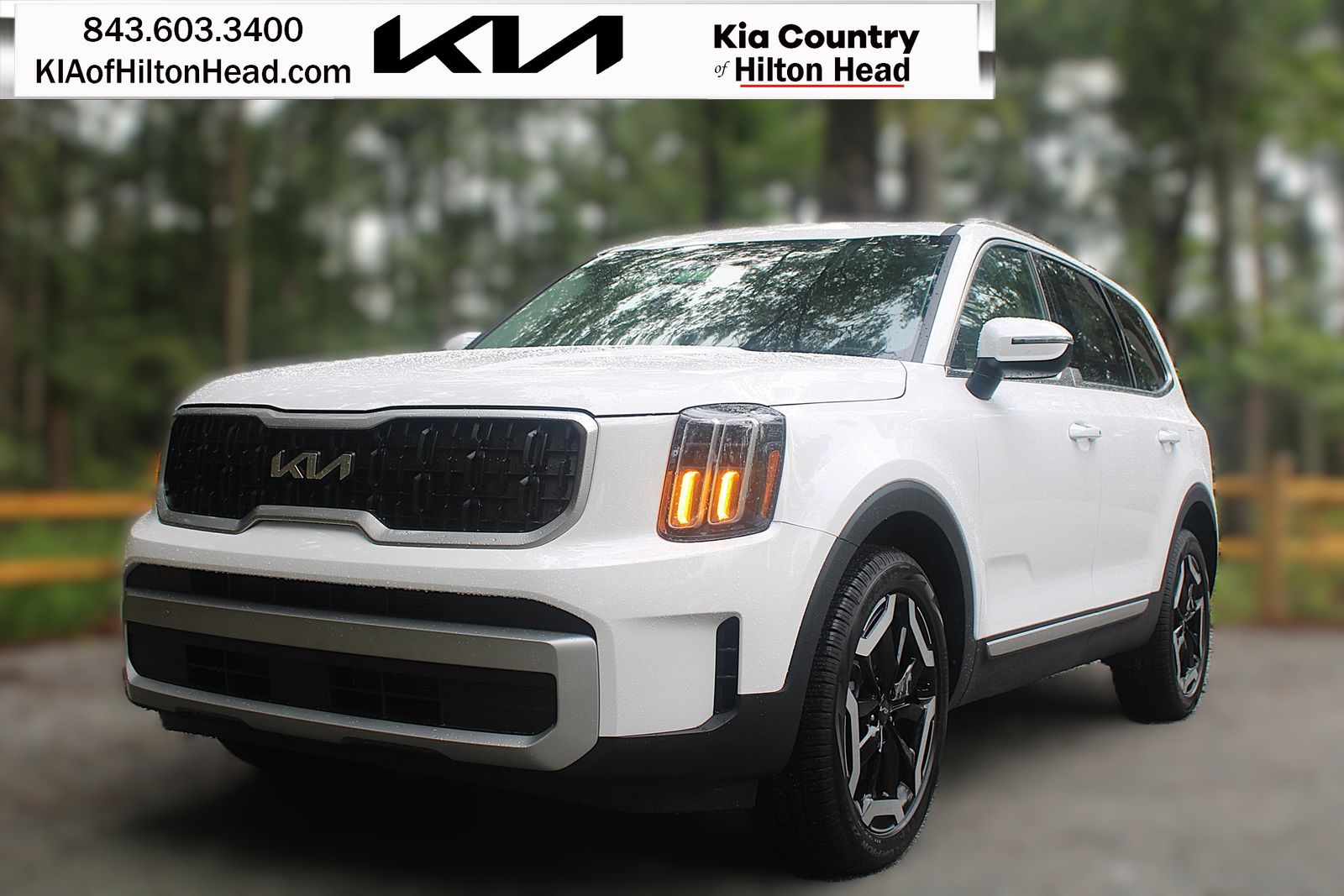 2025 Kia Telluride EX's photo