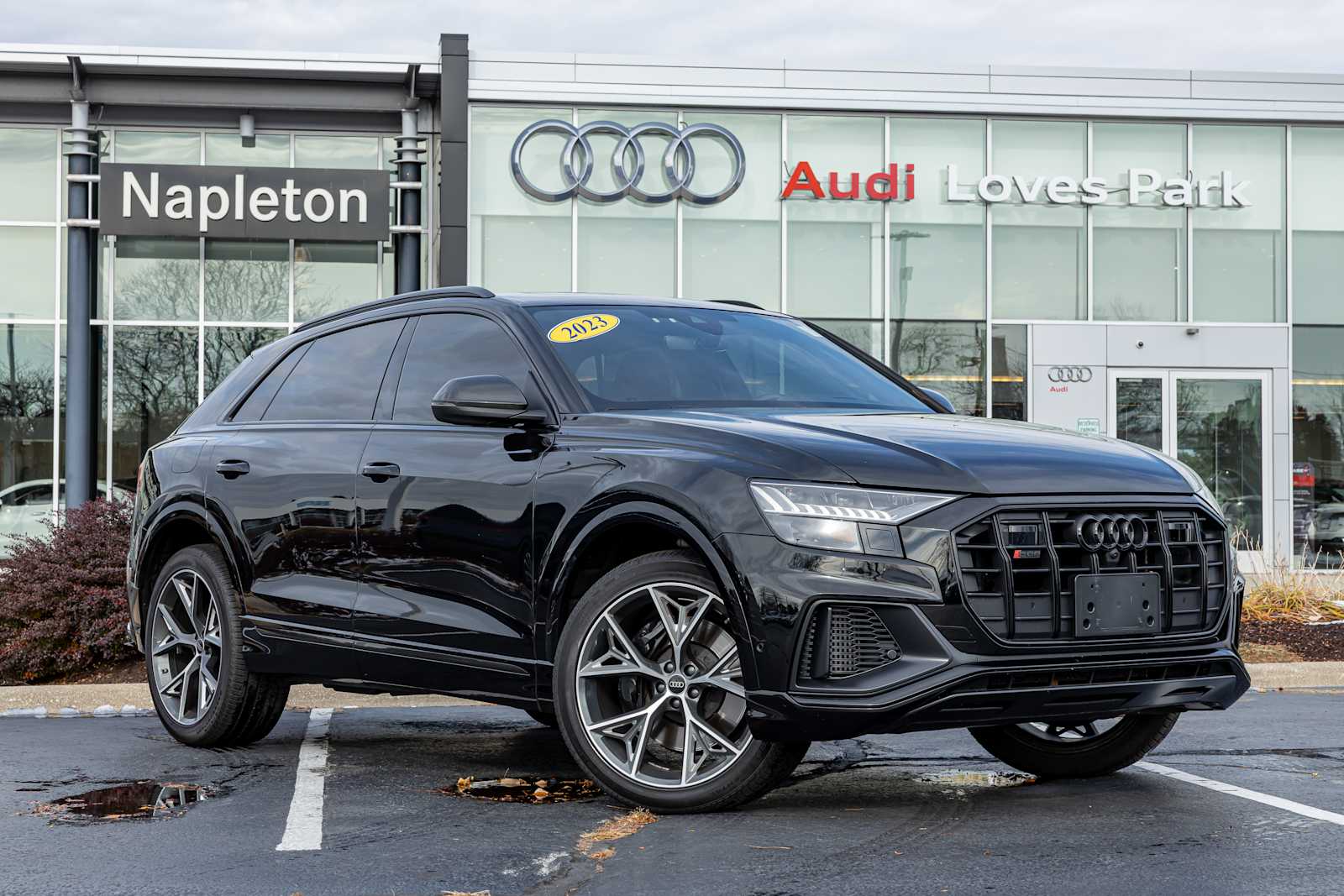 2023 Audi SQ8 Prestige's photo