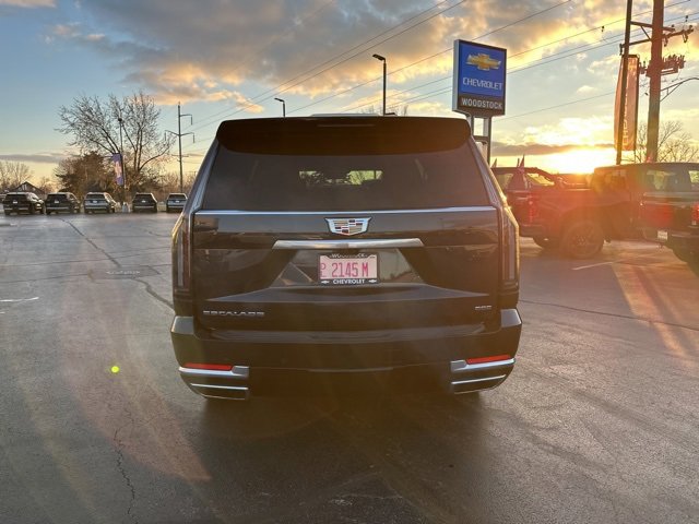 2025 Cadillac Escalade Premium Luxury photo 4