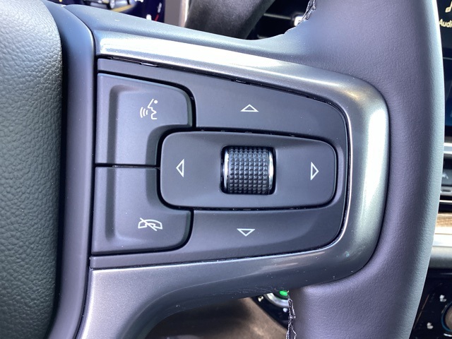 2025 Chevrolet Silverado 1500 LT photo 9