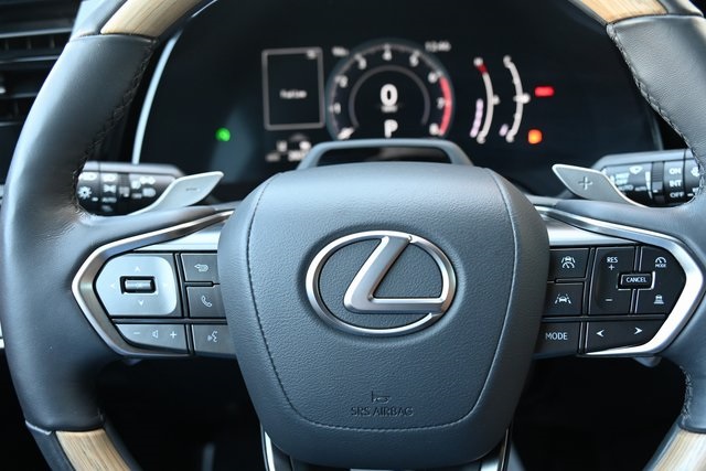 2023 Lexus RX 350 Premium photo 13