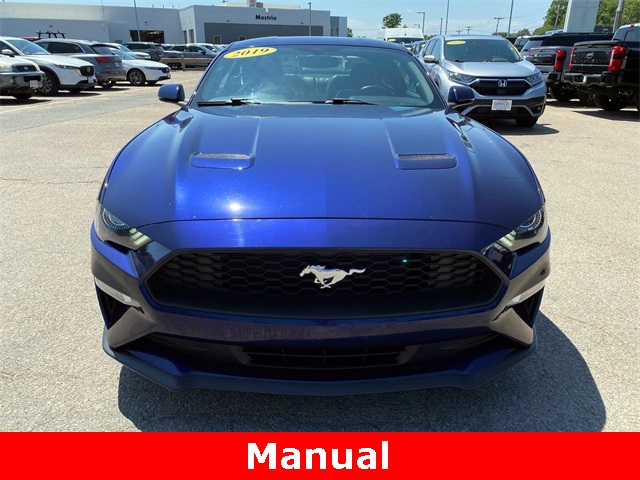 Used 2019 Kona Blue Ford EcoBoost Premium image 8