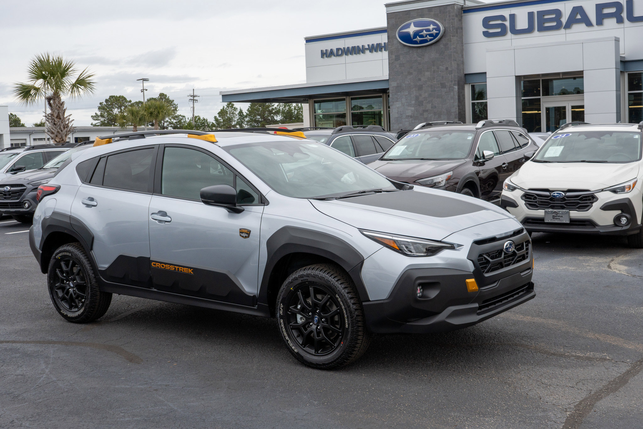 2026 Subaru Crosstrek Wilderness's photo