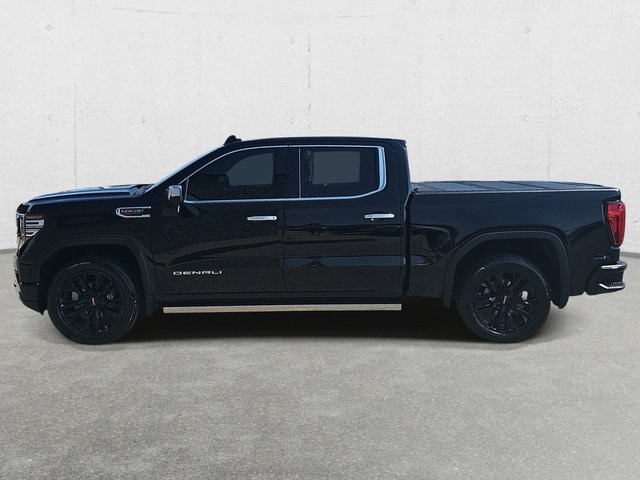 2022 Gmc Sierra 1500 Denali photo 8