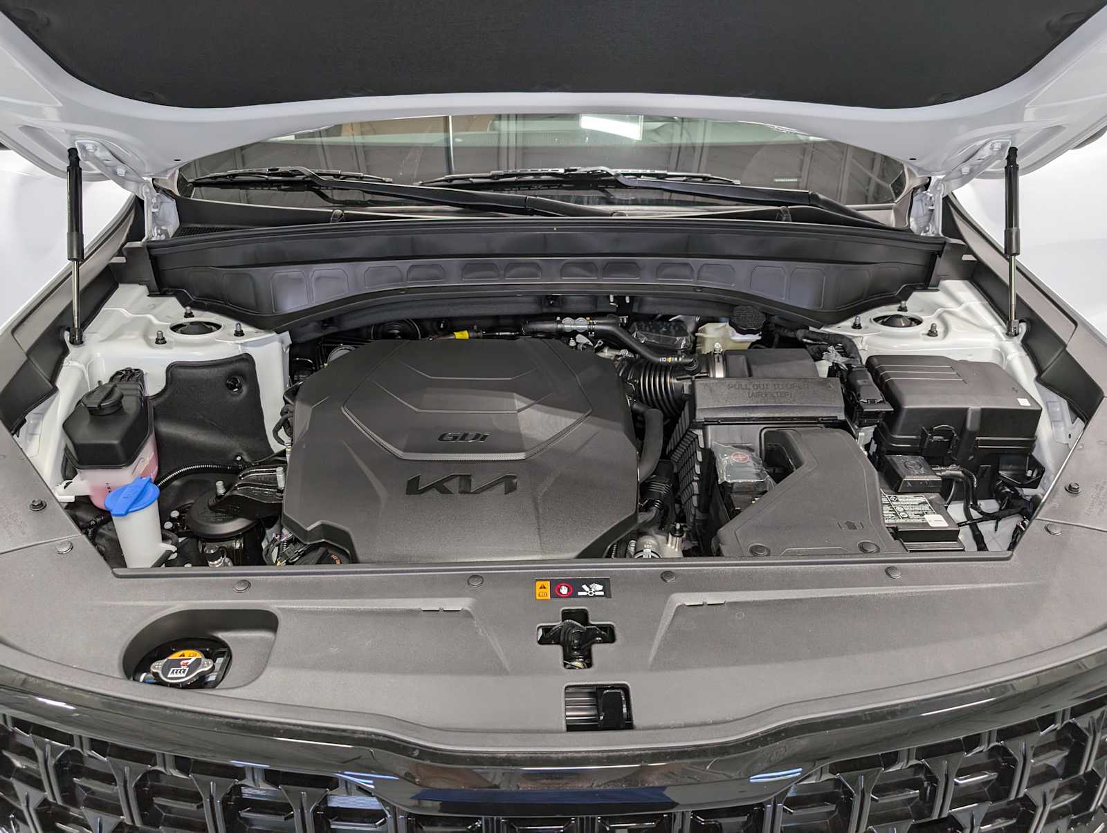 2025 Kia Telluride EX X-Line photo 13