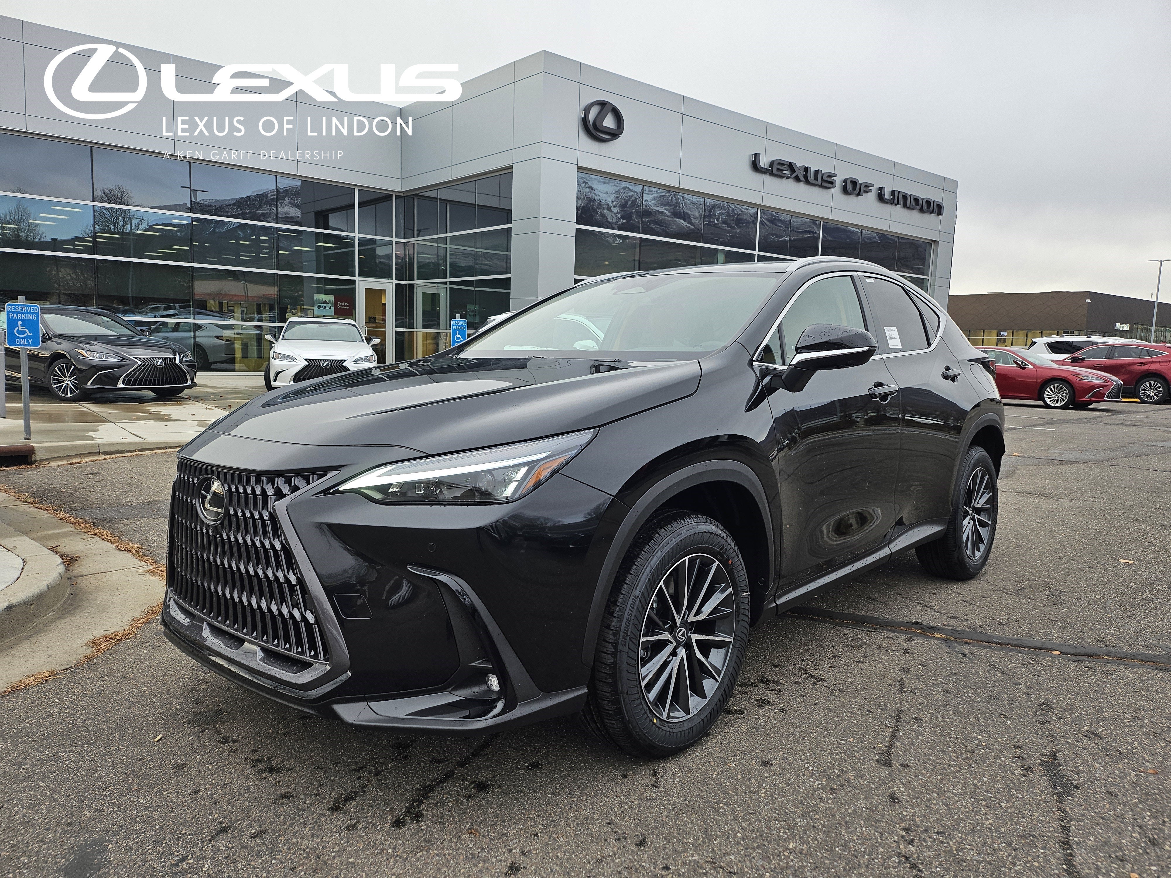 2026 Lexus NX 350's photo