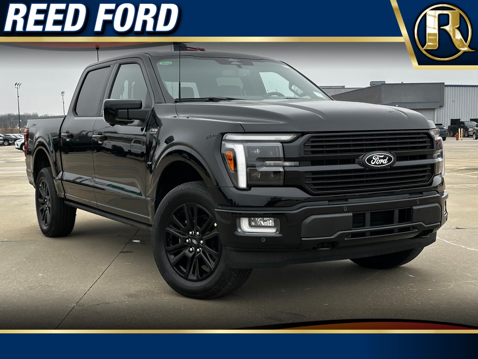 2025 Ford F-150 Platinum's photo
