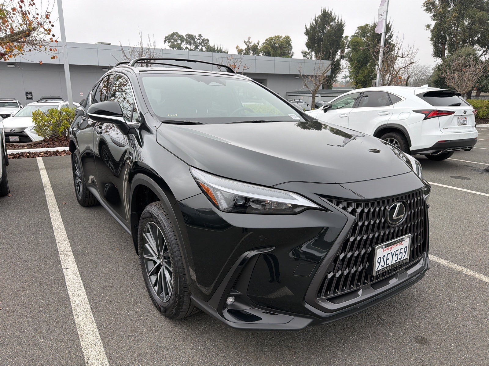 2025 Lexus NX Hybrid 350h's photo