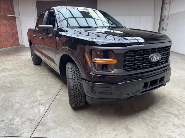 2025 Ford F-150 STX photo 6