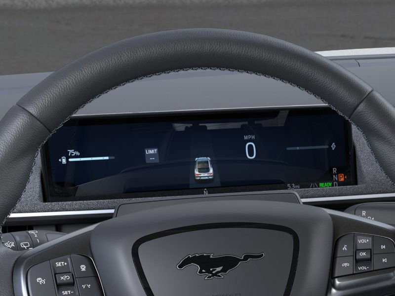 2025 Ford Mustang Mach-E GT photo 10