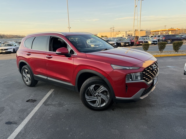 2023 Hyundai Santa Fe SEL's photo