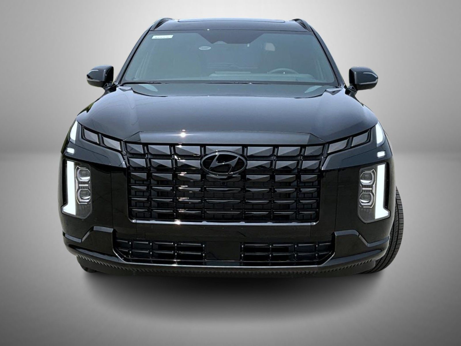2025 Hyundai Palisade Calligraphy photo 2