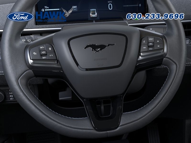 2025 Ford Mustang Mach-E GT photo 10