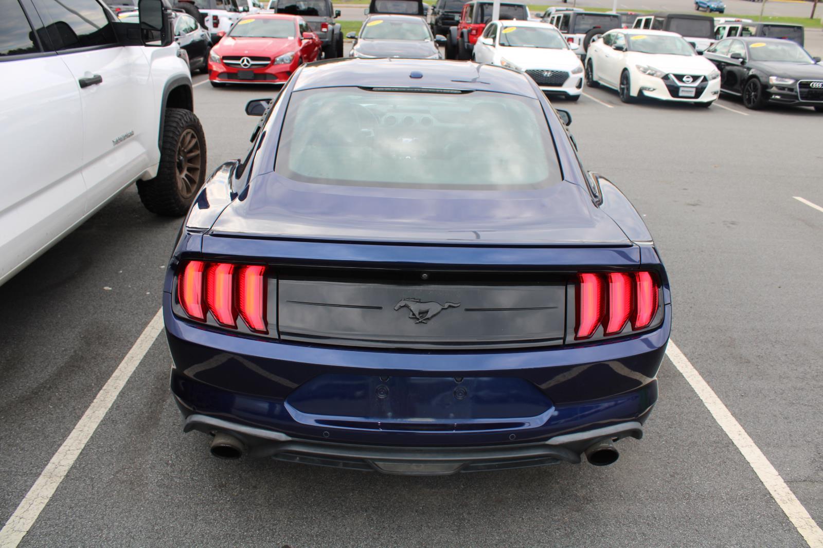 2019 Ford Mustang EcoBoost Premium photo 6
