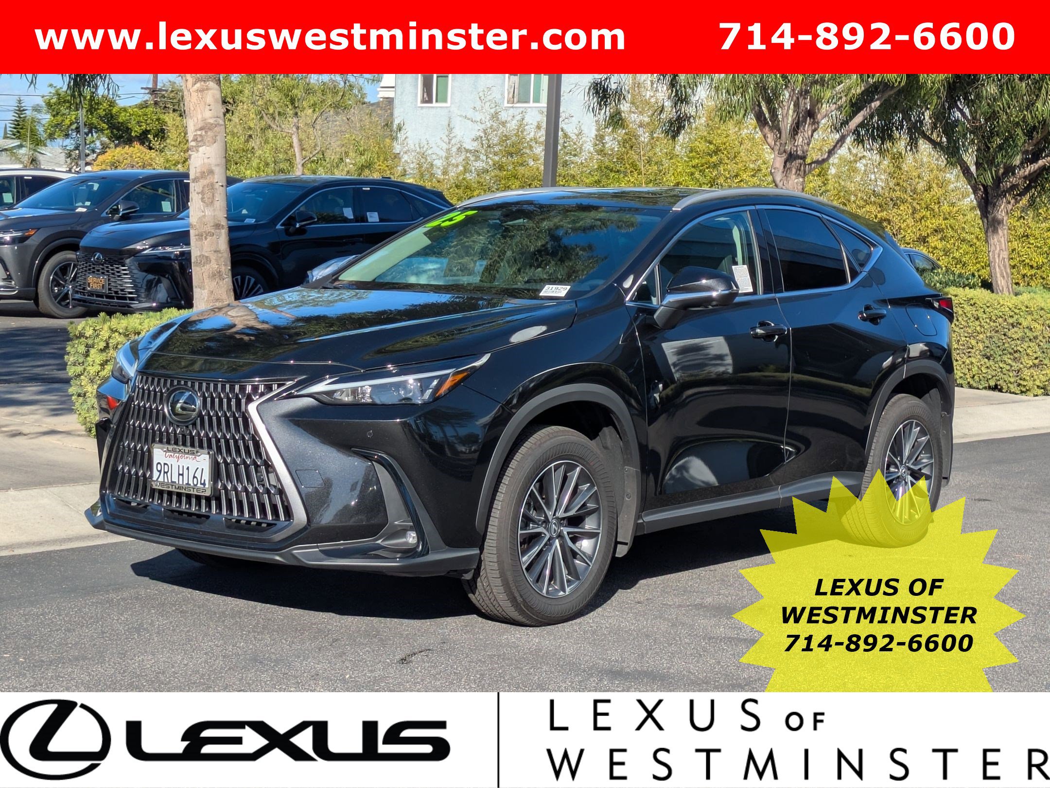 2025 Lexus NX Hybrid 350h's photo