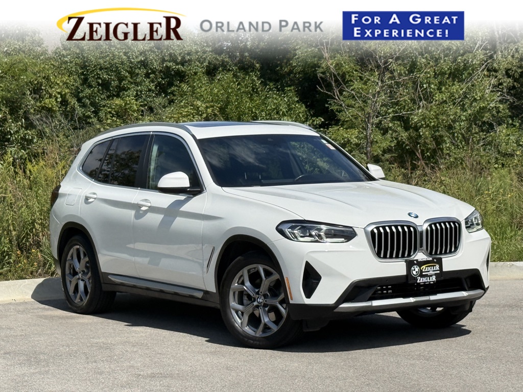 2023 BMW X3