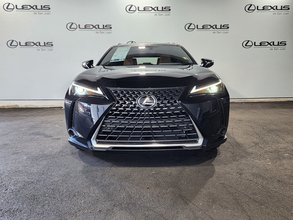 2025 Lexus UX photo 6