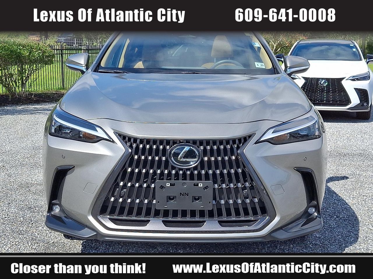 2025 Lexus NX 350h Premium photo 2