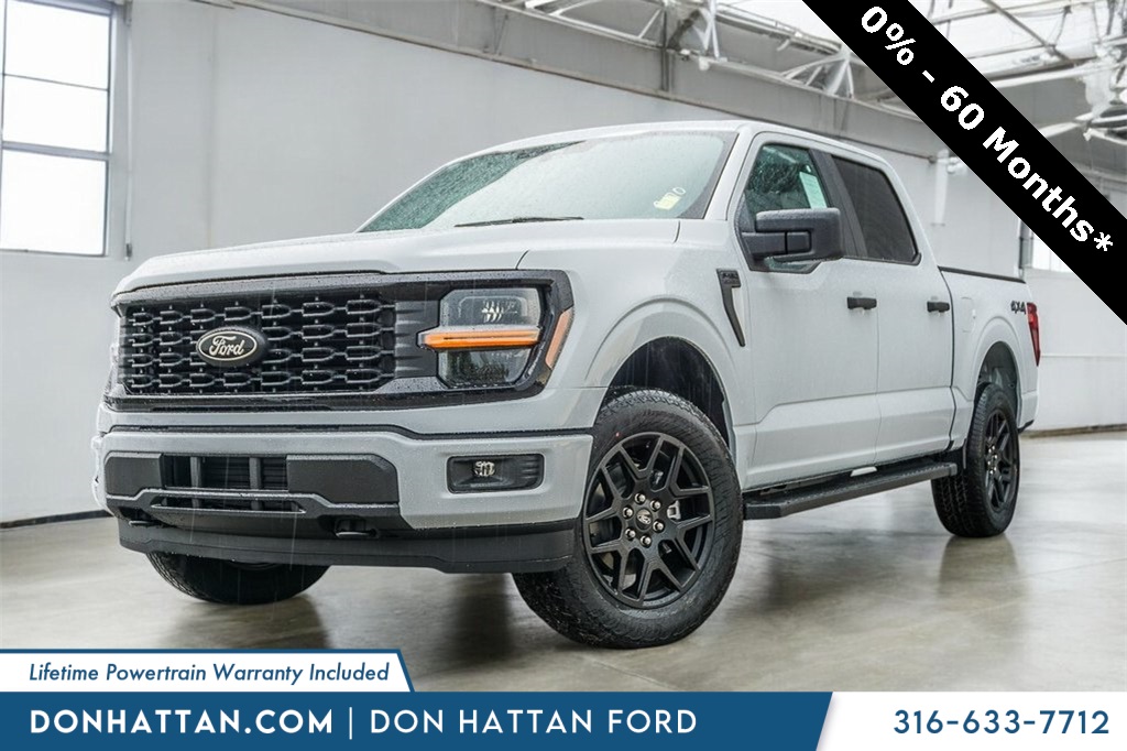 2025 Ford F-150 STX's photo