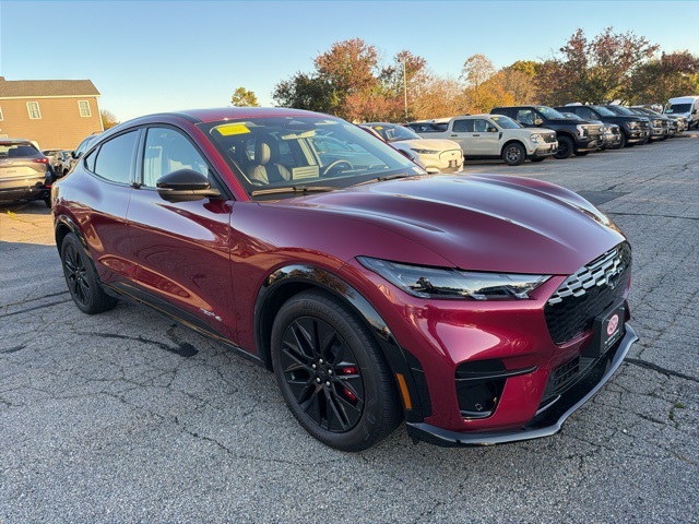 2025 Ford Mustang Mach-E Premium AWD's photo