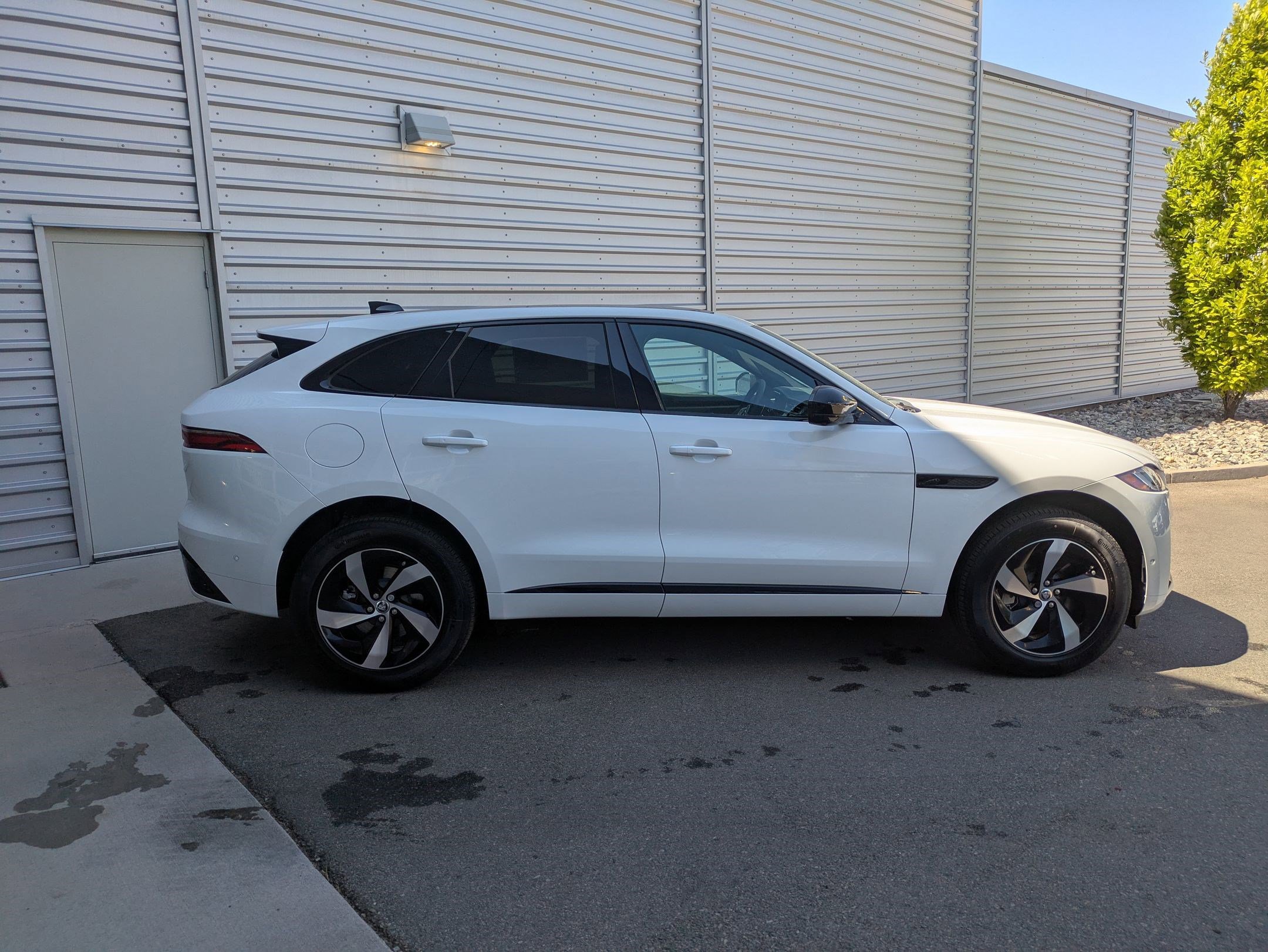 2026 Jaguar F-PACE P250 R-Dynamic S photo 6