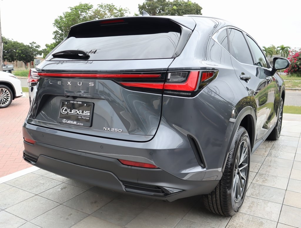 2025 Lexus NX 250 Premium photo 24