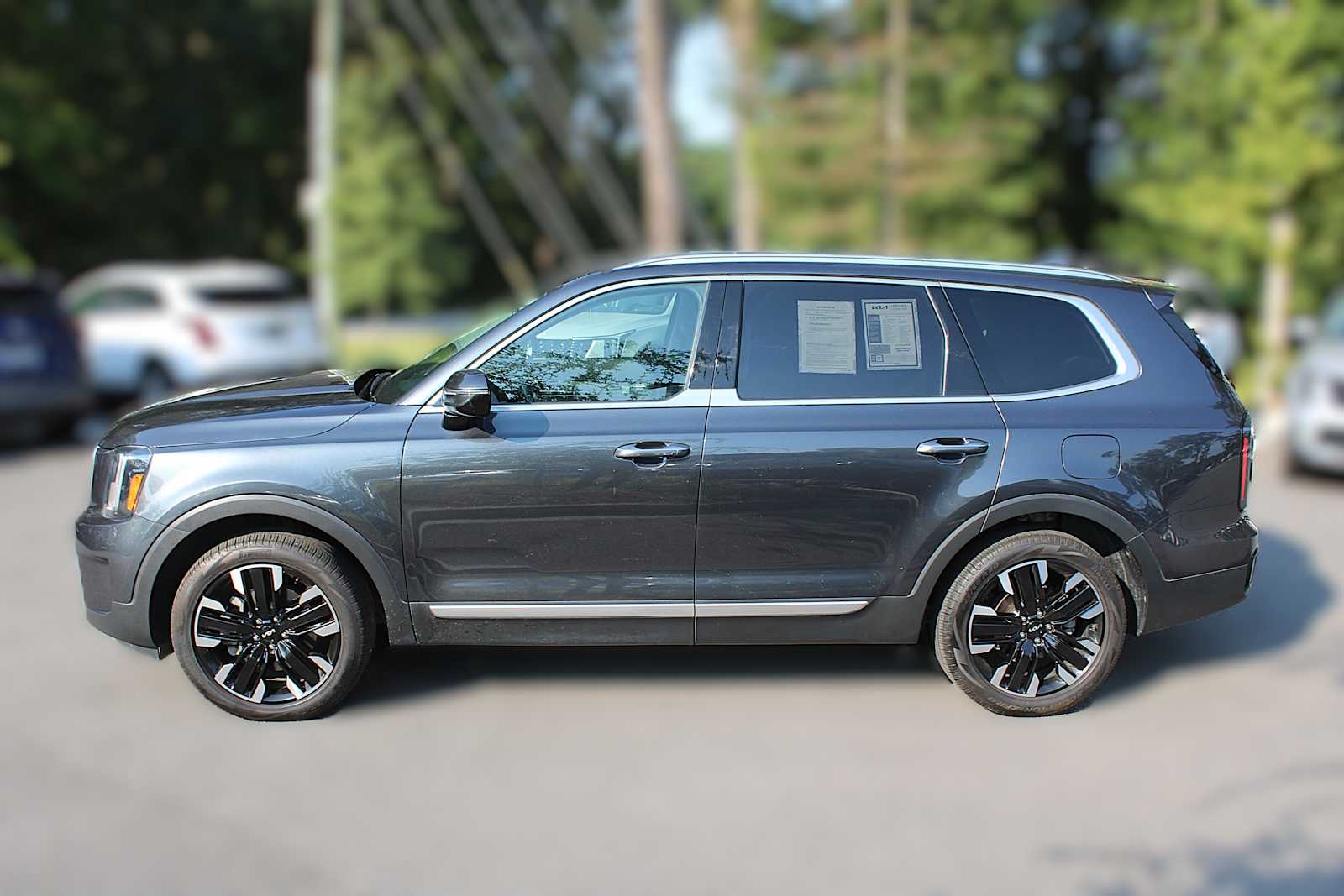 2024 Kia Telluride SX photo 2