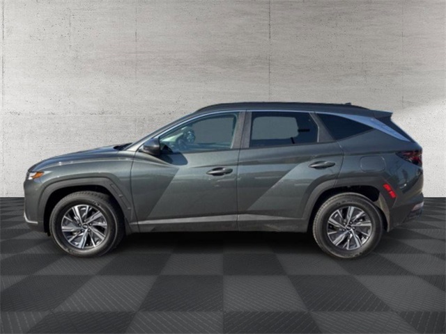 2024 Hyundai Tucson Hybrid Blue photo 4