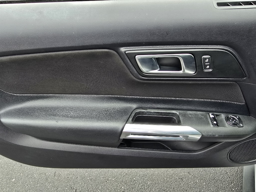 2019 Ford Mustang EcoBoost photo 8