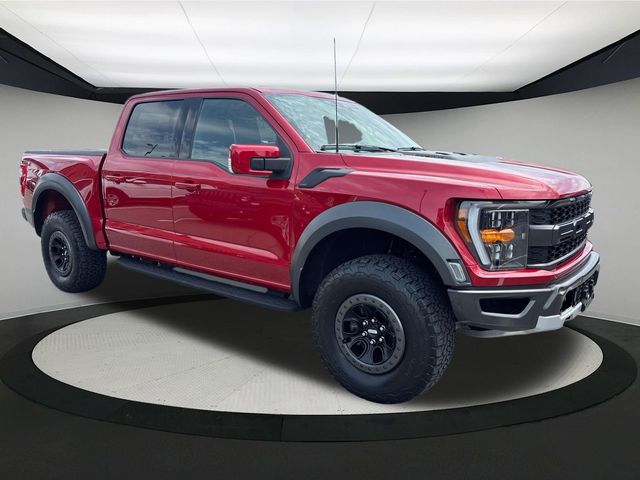 2021 Ford F-150 Raptor photo 6