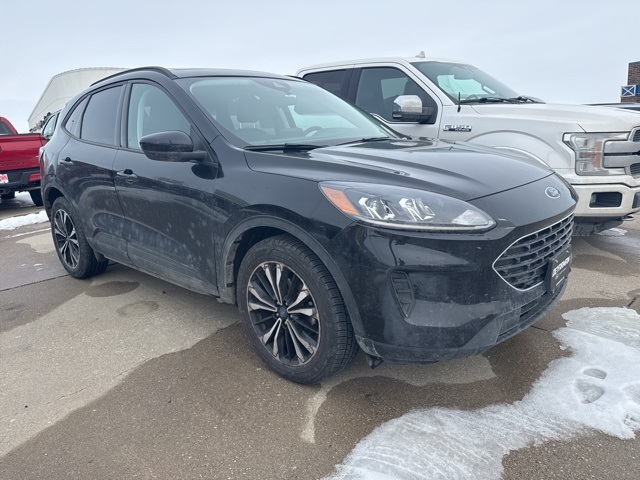 2022 Ford Escape SE's photo