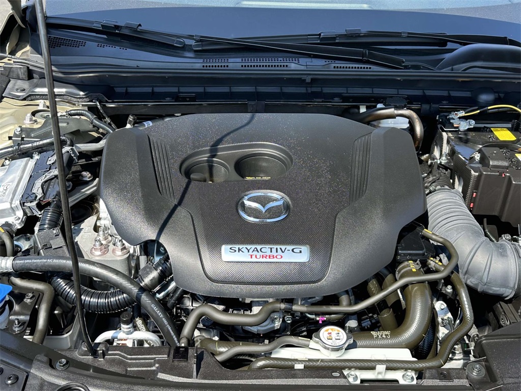 2025 Mazda Mazda3 2.5 Carbon Turbo photo 12