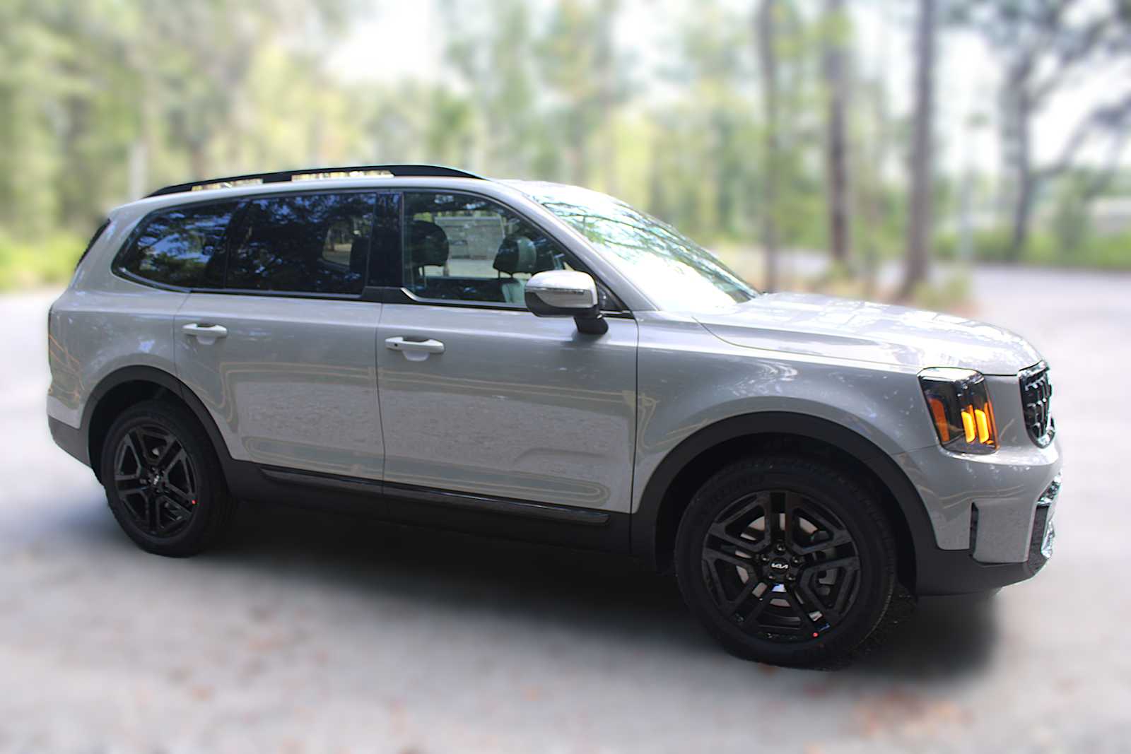 2025 Kia Telluride EX X-Line photo 15