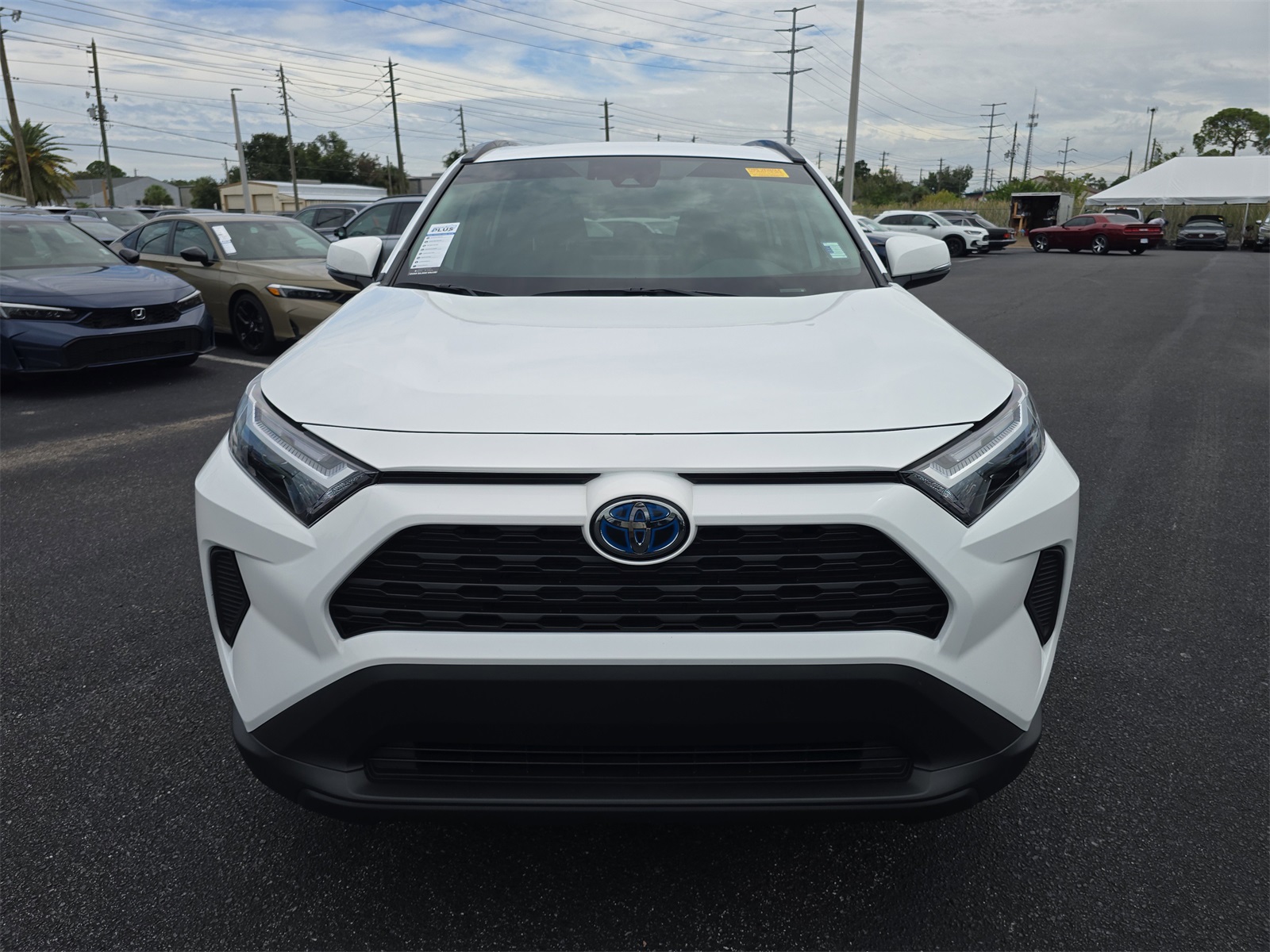 2024 Toyota RAV4 Hybrid XLE photo 6