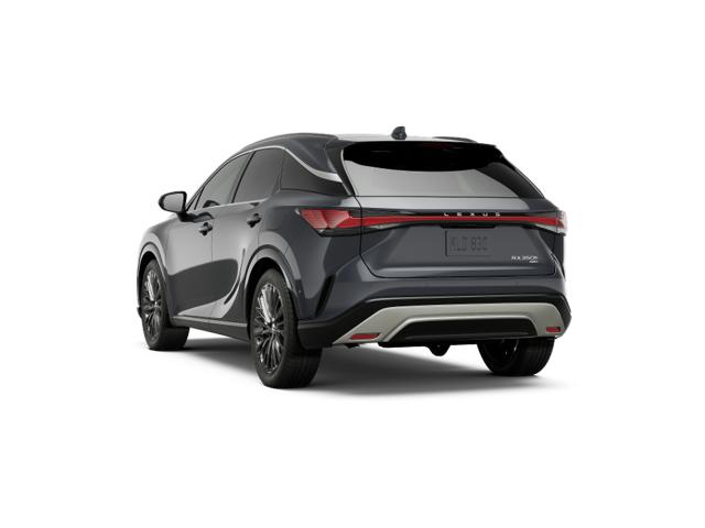 2025 Lexus RX 350h Luxury AWD photo 3