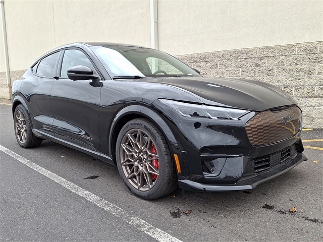 2025 Ford Mustang Mach-E GT photo 2