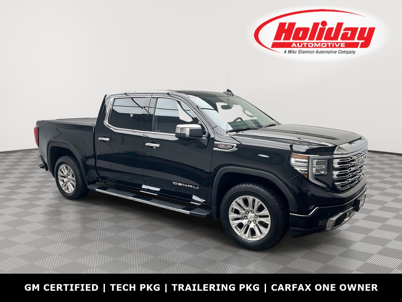 2023 GMC Sierra 1500 Denali Denali's photo