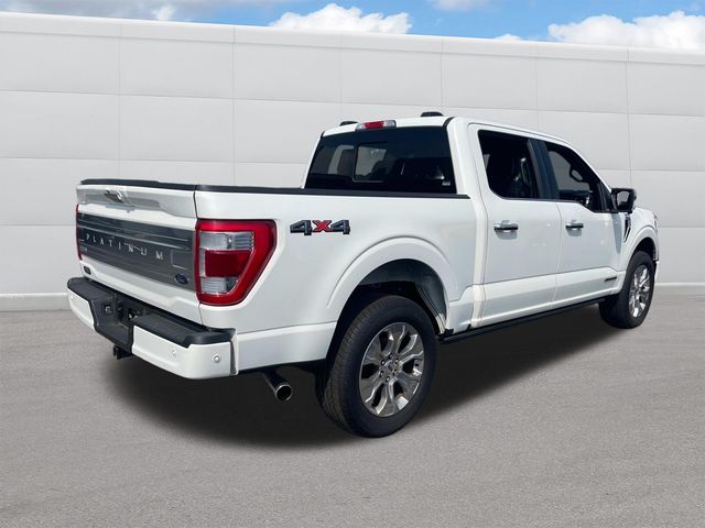 2023 Ford F-150 Platinum photo 7