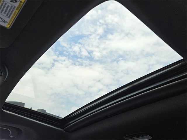 2023 Subaru Outback Wilderness photo 14