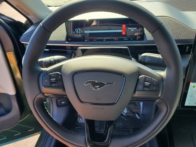 2025 Ford Mustang Mach-E Premium photo 14