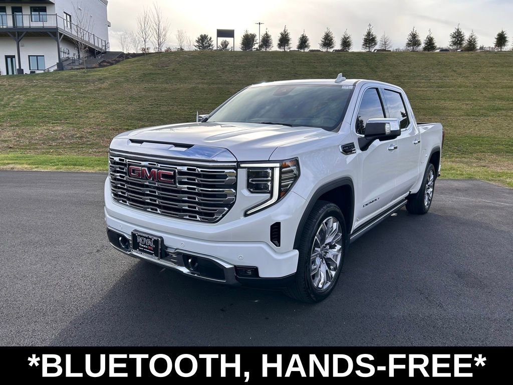 2023 Gmc Sierra 1500 Denali photo 3